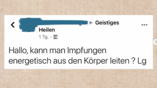 Professor Schwurbelstei, Schwurbler, Screenshot